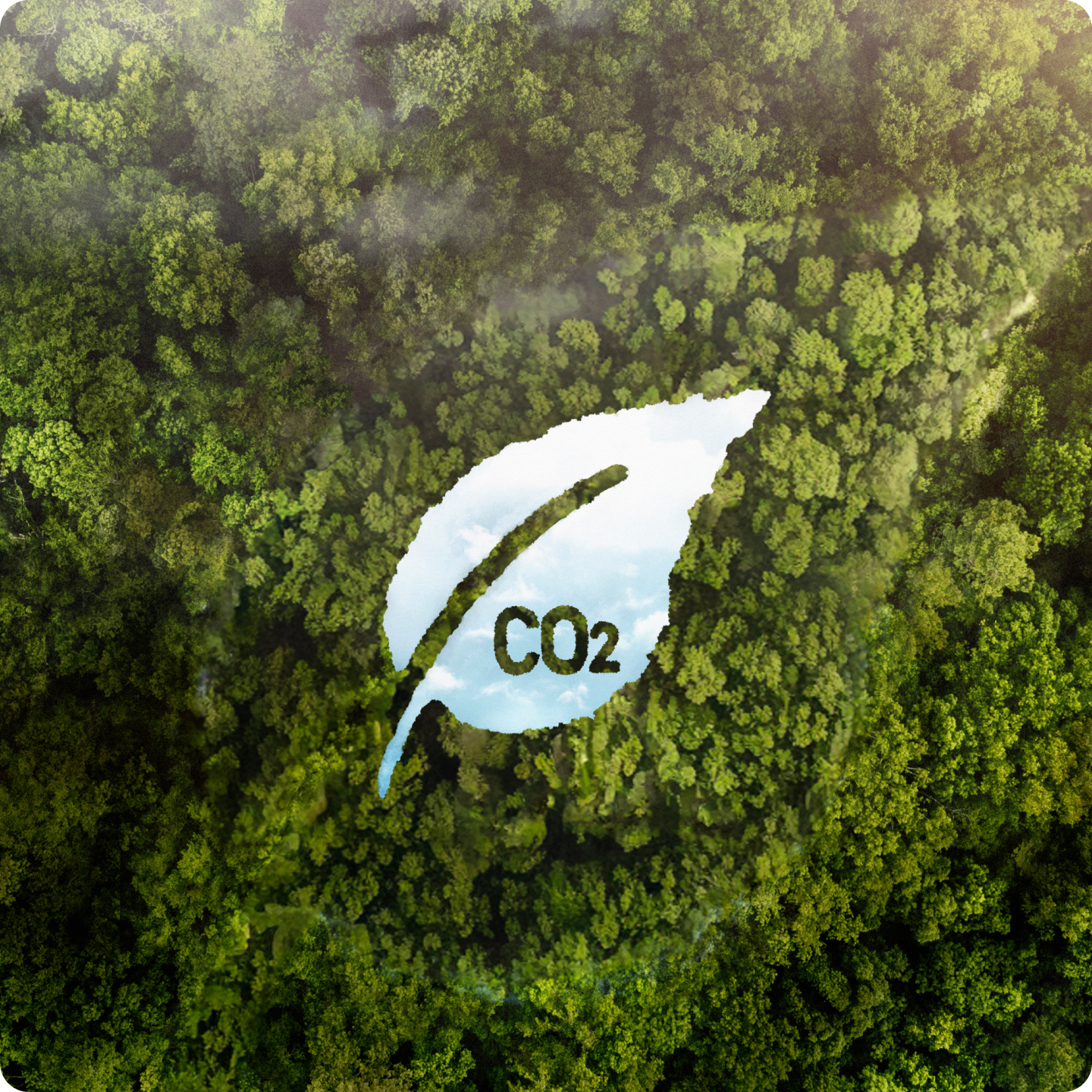 Sustainability